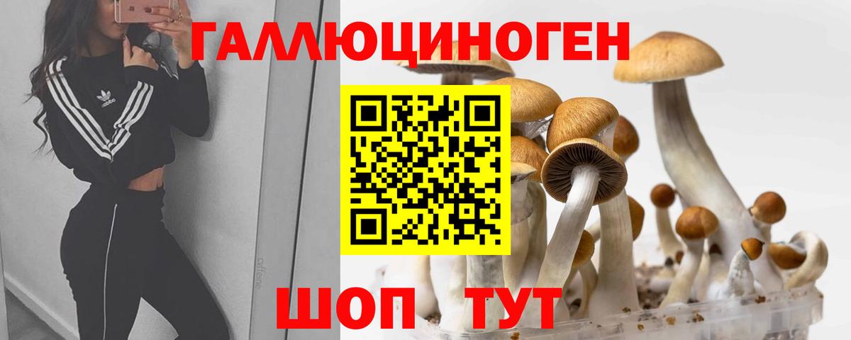 Псилоцибиновые грибы мухоморы Балабаново